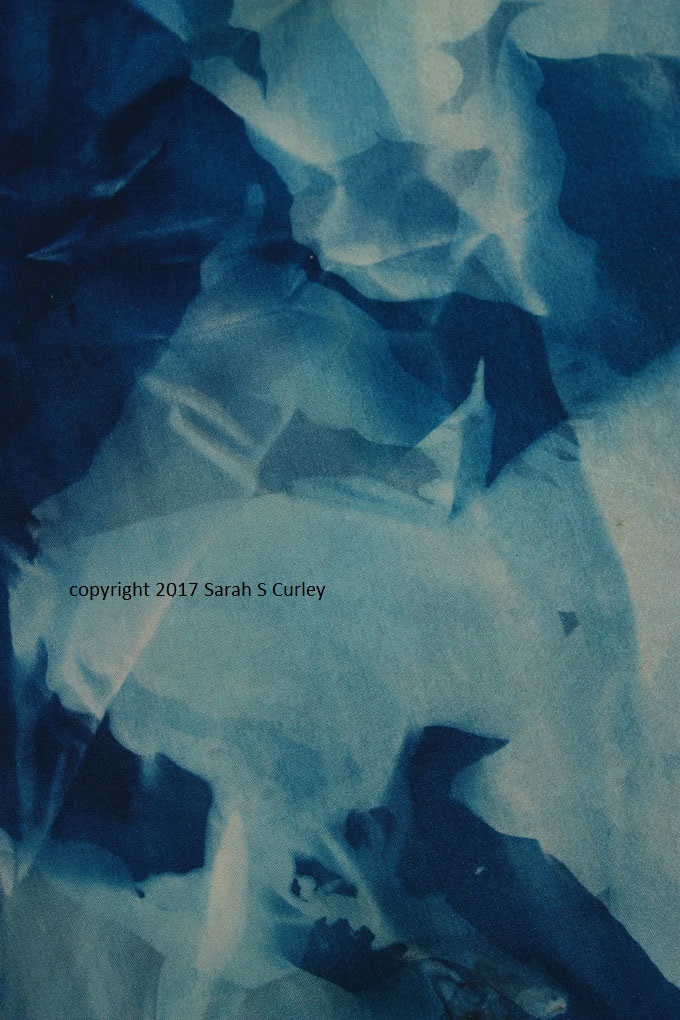 Looking Back I 2017 ssc